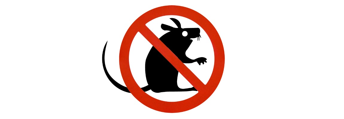 deratizacija-2-1150h400-min