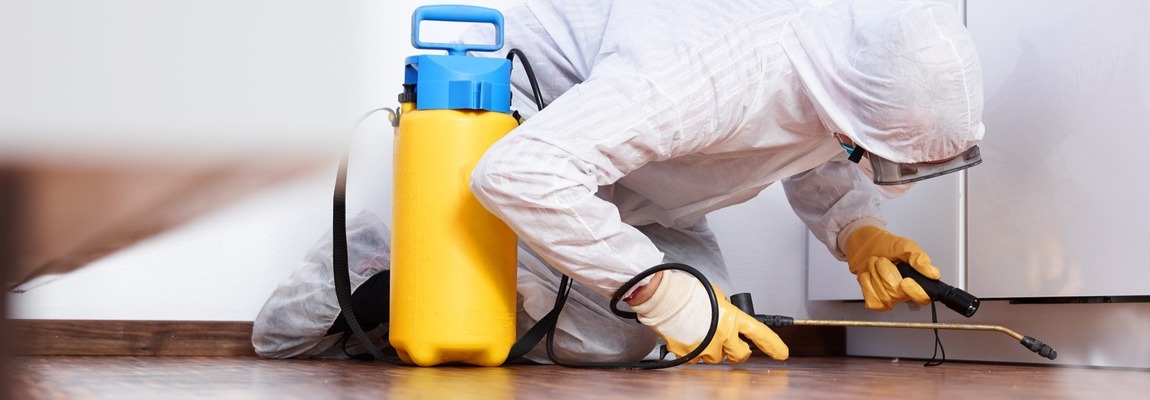 dezinsekcija-2-2-1150h400-min