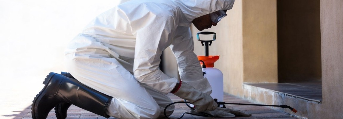 dezinsekcija-2-1150h400-min