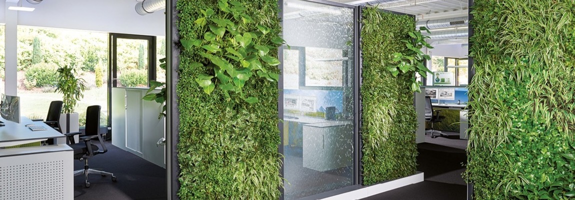 ozelenenie-pomeshhenij-i-prilegajushhej-territorii-2-1150h400-min