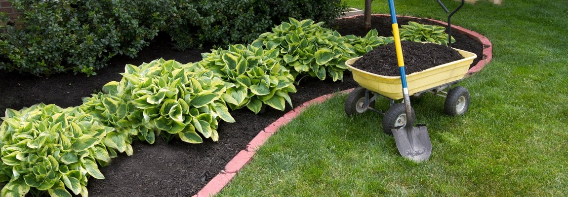 ozelenenie-pomeshhenij-i-prilegajushhej-territorii-1150h400-min